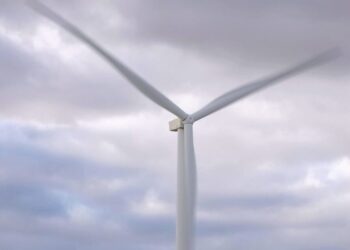 Image courtesy of the NSW Government.